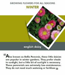 We did not find results for: Tips For Selecting And Growing Flowers For All Seasons