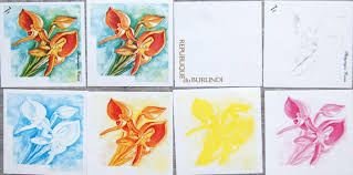 Image result for Platycoryne crocea