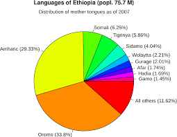Language In Ethiopia There Are Many Different Official Languages In Ethiopia Around 90 The Most Common Are Oromo And Amha Ethiopia Open Books Ethiopia People