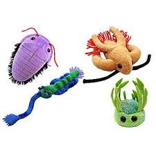 Giant Microbes Gift Box Set Thinkgeek Giant Microbes Mad Scientist Gifts Think Geek