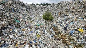 If you see illegal dumping in progress, call 911. Waste From West Turns Southeast Asia Into Global Dumpyard Cgtn