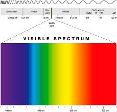 We've researched the best plant grow lights and asked the experts for tips on how to have a successful indoor garden. Top 10 Full Spectrum Led Grow Lights Buyer S Guide Reviews Trees Com