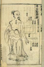 file 17th c chinese acupuncture chart lung channel of hand