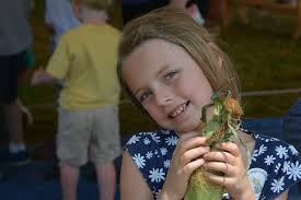 Lizzie Walls from Seaford gets cozy with corn!