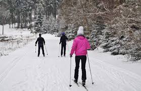 Entry level models often come with the skis and if you want better poles upgrades can be quite affordable. Cross Country Skiing Toronto And Region Conservation Authority Trca