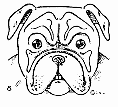 Bulldog Drawing Easy Step By Step Drawing Animals Bulldog Drawing For Beginners 8 Easy Animal Drawings Animal Drawings Bulldog Drawing