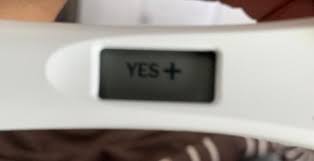 First Response Triple Check Pregnancy Test Kit Bed Bath Beyond