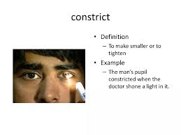 نتیجه جستجوی لغت [constricted] در گوگل