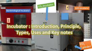 نتیجه جستجوی لغت [incubator] در گوگل