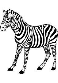The collection includes cartoons and realistic forms of zebra coloring pages free to print. 8 Zebra Coloring Pages Coloring Pages
