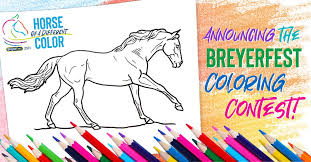 Coloring contest breyer source : Breyer Horses Posts Facebook