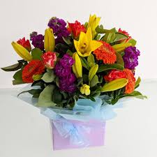 We did not find results for: Monash Florist Free Delivery Same Day Delivery