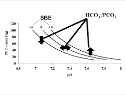 Image result for Base Excess