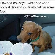 Sorry For What I Said When I Was Hungry Meme Pin On Quotes 3