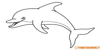 30 Disegni Di Delfini Da Colorare Delfini Disegni Disegni Da Colorare