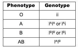 patterns of inheritance bioninja