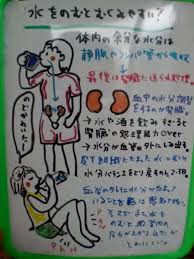 腎臓の内臓反射 腎経 膀胱経 整体 ツボゲッチューりらく屋 朝霞 代替療法 漢方医学 健康