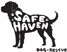 Maybe you would like to learn more about one of these? Pets For Adoption At Safe Haven Dog Rescue In Elburn Il Petfinder