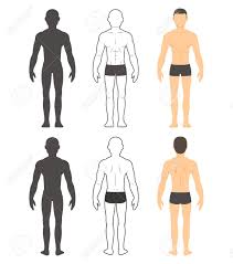 Nerves in your lower back. Male Body Chart Muscular Man Front And Back In Silhouette Line Royalty Free Cliparts Vectors And Stock Illustration Image 54096268