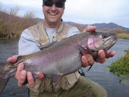 Utah Fly Fishing Totalflyfishing Com