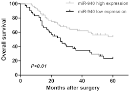 Mir 940 Inhibits Cell Proliferation And Promotes Apoptosis In Esophageal Squamous Cell Carcinoma Cells And Is Associated With Post Operative Prognosis