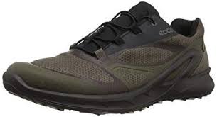 Ecco Men S Biom Omniquest Gore Tex Hiking Shoe Review