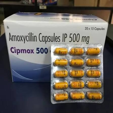Amoxicillin 500mg Capsule at ₹ 250/stripe in Nagpur | ID: 2851690087688