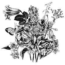 Frohes neues jahr 2020 schriftzug schwarz weiss vektor. Schwarz Weiss Hand Gezeichnet Garten Blumen Fototapete Fototapeten Schone Skizzenhaften Flieder Myloview De