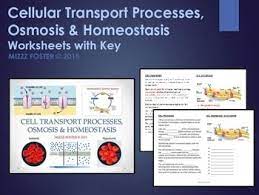 The Cell Transport Processes Covered In This Power Point And Worksheet Bundle Are Diffusion Passive Tran Cell Transport Biology Lesson Plans Biology Resources