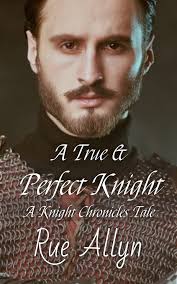 A True and Perfect Knight eBook by Rue Allyn