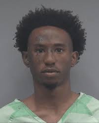 Four Tampa residents arrested for stealing items from cars in Gainesville