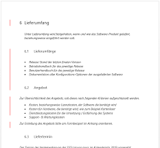 Präambel einleitung definition von zweck und ziel des lastenheftes; Lastenheft Vorlage Diese Inhalte Mussen Rein Www Itnator Net