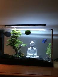 5 Gallon Fluval Spec V With A Betta Petco And Decor From Petsmart Https Www Amazon Com Fluval Spec Aquariu Betta Aquarium Aquarium Design Cool Fish Tanks