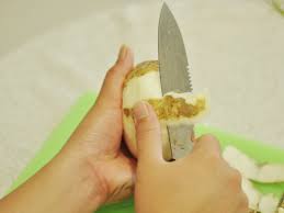 Scientifically known as pachyrhizus erosus; 3 Ways To Peel Jicama Wikihow