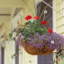 Pin On Gardening