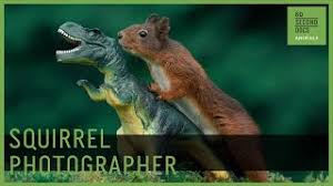 Next, put the tin holding the scented cotton swab into the plastic container. This Genocide Survivor Finds Peace In Photographing Squirrels Petapixel