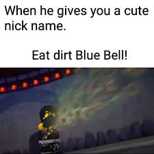 Cole Has A Crush On Jay Yassssssssssss Ninjago Ninjago Memes Ninjago Cole