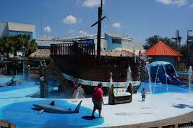 The Florida Aquarium Tampa Bay S Exciting Way To Spend A Day Florida Travel Tampa Florida