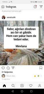 Oznur D Adli Kullanicinin Guzel Sozler Panosundaki Pin Instagram Otlar Guzel Soz
