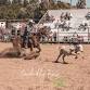 Lowood Rodeo event image