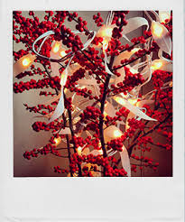 They put a serene winter scene right in the palm of our hands, to enjoy whenever we wish. Designer Christmas Decorating Ideas Decor Design Show