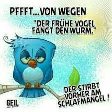 Guten morgen bilder kostenlos zum runterladen und sprüche. Guten Morgen Spruche Bilder Kostenlos Bilder Herunterladen Gb Bilder Morning Humor Humor Funny
