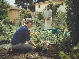 Tolle Hacks Fur Den Garten Diy Academy Garten Selbstversorger Garten Garten Ideen