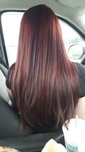Burgundy Hair With Purple Low Lights Light Burgundy Hair Burgundy Hair Hair Color Burgundy