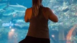 Yoga @ NC Aquarium at Pine Knoll Shores