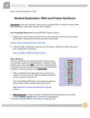 The first stage of building a protein involves a process known as transcription. Rnaproteinsynthesis Pdf Name Date Student Exploration Rna And Protein Synthesis Vocabulary Amino Acid Anticodon Codon Gene Messenger Rna Nucleotide Course Hero