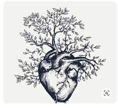 Pin By Kyle Astrein On Heart Drawings Human Heart Tattoo Anatomical Tattoos Human Heart Drawing