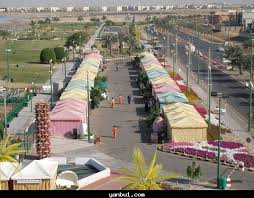 Yanbu L Photo Gallery Hardscape Front Yard Landscaping Flower Festival