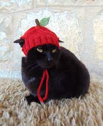 Apple Hat For Cat Apple Pet Costume Cat Outfit Feline Etsy Pet Costumes Cat Hat For Cat Pet Costumes
