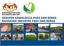 Pengelompokan padi sendiri seacara garis besar, dibagi menjadi beberapa kategori yakni, varietas, metode budidayanya, dan tipe beras. Facebook